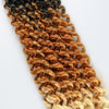 Water Wave Passion Twist Crochet Braiding Hair 24-Inch 22 Strands/Bundle - Ripples Hair & Beauty Supplies