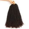 Water Wave Passion Crochet Free-Tress Braiding 18-Inch Hair - Ripples Hair & Beauty Supplies