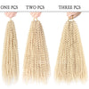 Water Wave Passion Crochet Free-Tress Braiding 18-Inch Hair - Ripples Hair & Beauty Supplies