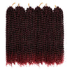 Water Wave Passion Twist Crochet Braiding Hair 24-Inch 22 Strands/Bundle - Ripples Hair & Beauty Supplies