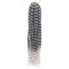 Water Wave Passion Twist Crochet Braiding Hair 24-Inch 22 Strands/Bundle - Ripples Hair & Beauty Supplies