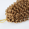 Water Wave Passion Twist Crochet Braiding Hair 24-Inch 22 Strands/Bundle - Ripples Hair & Beauty Supplies