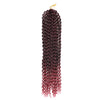 Water Wave Passion Twist Crochet Braiding Hair 24-Inch 22 Strands/Bundle - Ripples Hair & Beauty Supplies
