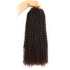 Water Wave Passion Twist Crochet Braiding Hair 24-Inch 22 Strands/Bundle - Ripples Hair & Beauty Supplies