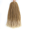 Water Wave Passion Twist Crochet Braiding Hair 24-Inch 22 Strands/Bundle - Ripples Hair & Beauty Supplies