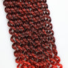 Water Wave Passion Twist Crochet Braiding Hair 24-Inch 22 Strands/Bundle - Ripples Hair & Beauty Supplies