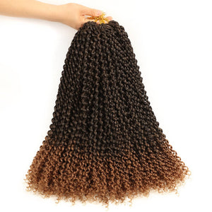 Water Wave Passion Twist Crochet Braiding Hair 24-Inch 22 Strands/Bundle - Ripples Hair & Beauty Supplies