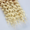 Water Wave Passion Twist Crochet Braiding Hair 24-Inch 22 Strands/Bundle - Ripples Hair & Beauty Supplies