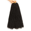 Water Wave Passion Twist Crochet Braiding Hair 24-Inch 22 Strands/Bundle - Ripples Hair & Beauty Supplies