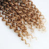 Water Wave Passion Twist Crochet Braiding Hair 24-Inch 22 Strands/Bundle - Ripples Hair & Beauty Supplies