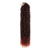 Water Wave Passion Twist Crochet Braiding Hair 24-Inch 22 Strands/Bundle - Ripples Hair & Beauty Supplies
